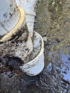 Pipe with roots at coupler